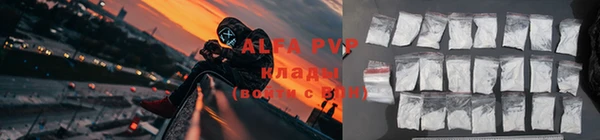 СК Алексин