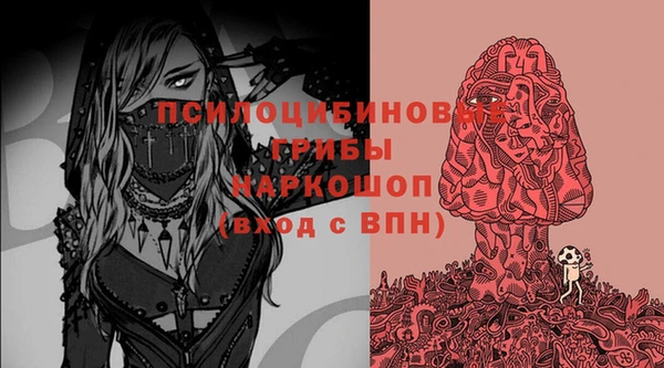 гашик Нязепетровск