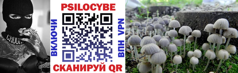 Галлюциногенные грибы Psilocybe  сколько стоит  Чапаевск 