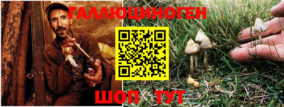 Псилоцибиновые грибы MAGIC MUSHROOMS Чапаевск